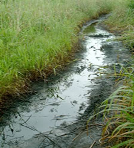 devastated farmland